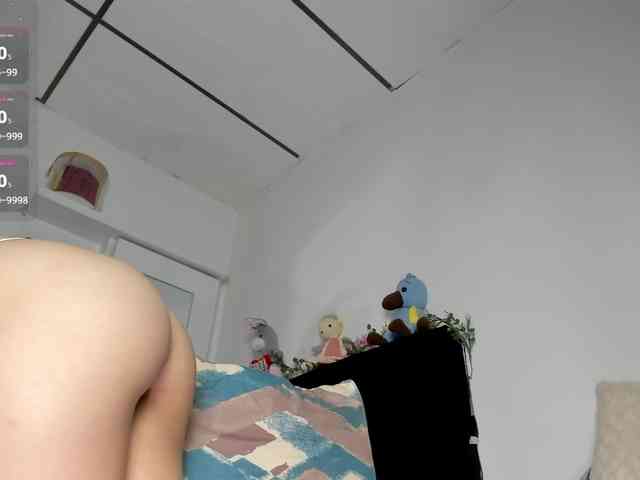 Lisvandre webcam