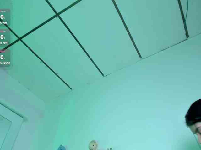Lisvandre webcam