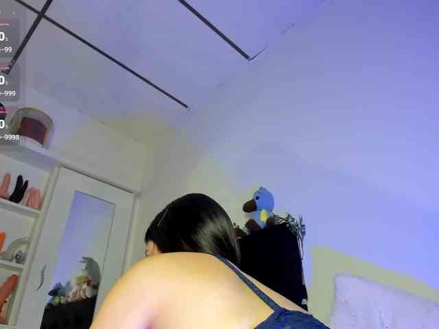 Lisvandre webcam