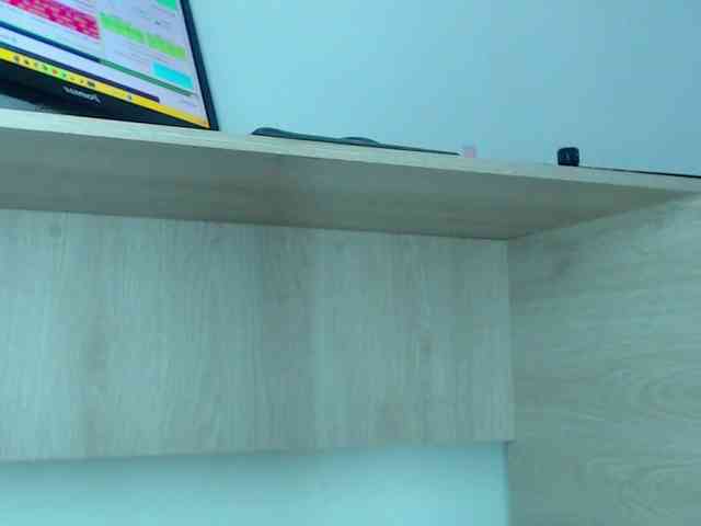 milytylor webcam