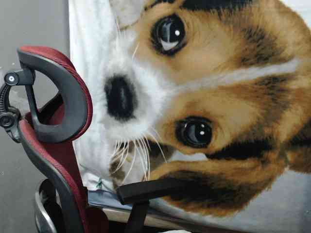 BubbleButtPinay webcam