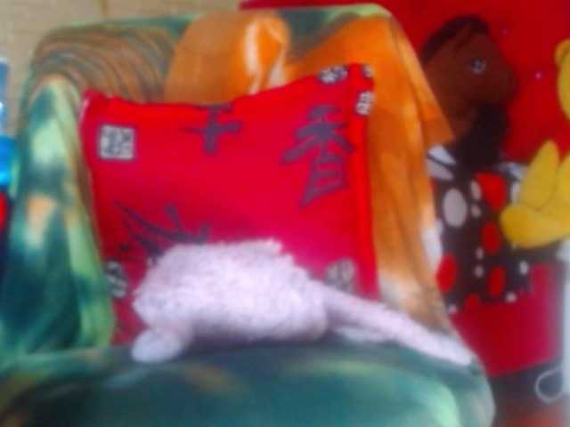 kimfierykitty live cam on BongaCams