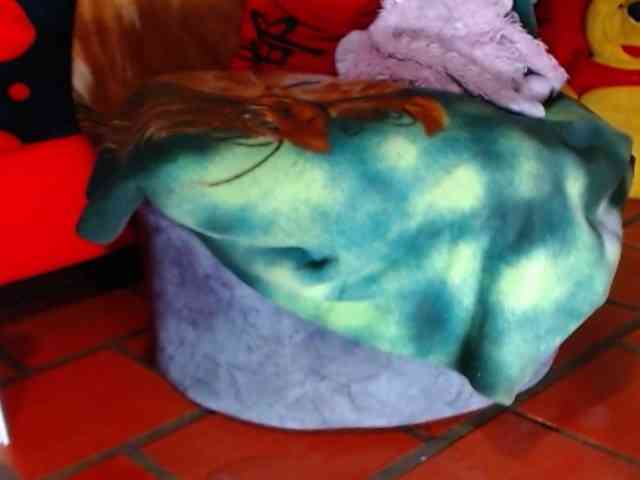 sofi-squirtwild webcam