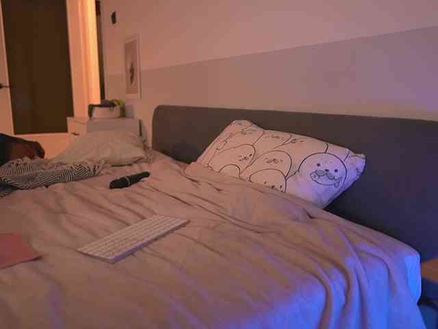 emmsee webcam