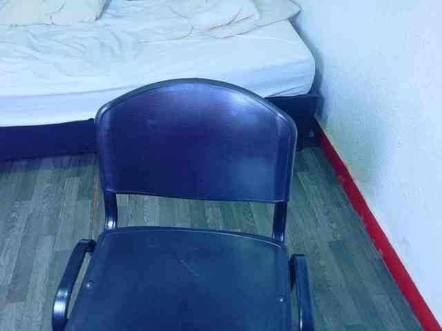 Модель: tiny-veronica