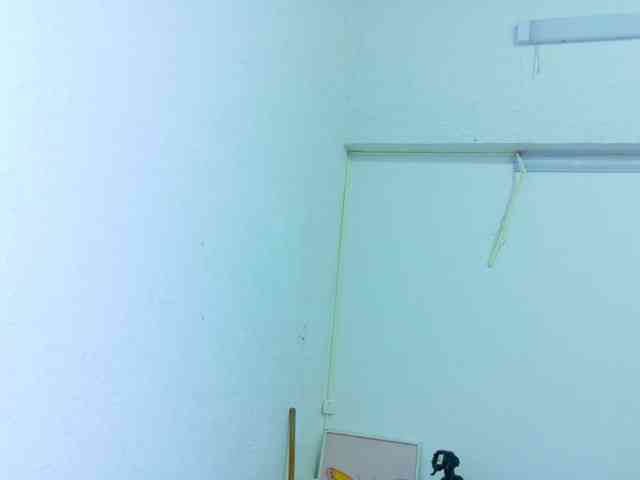 tiny-veronica webcam
