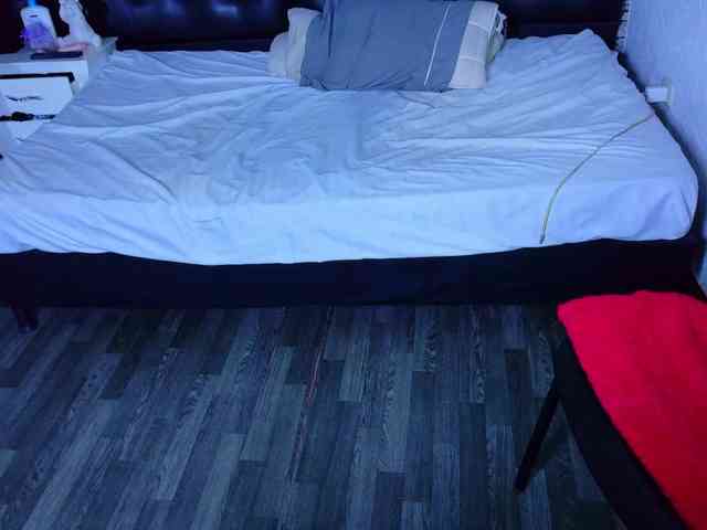 tiny-veronica webcam