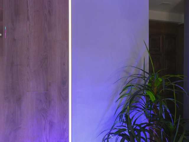 SofiaReyes1 live cam on BongaCams