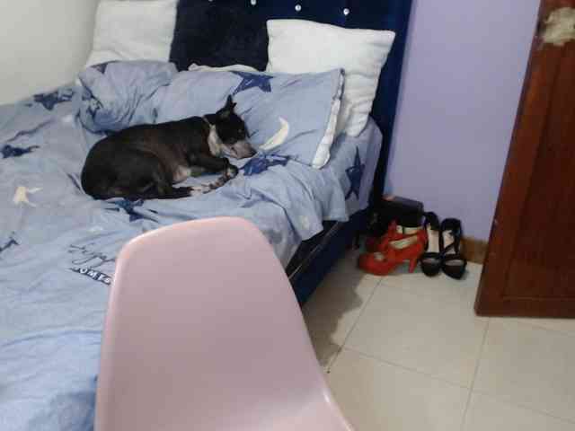 ElizabethTaylor8 webcam