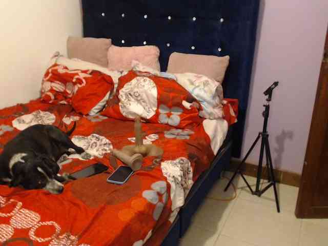 ElizabethTaylor8 webcam