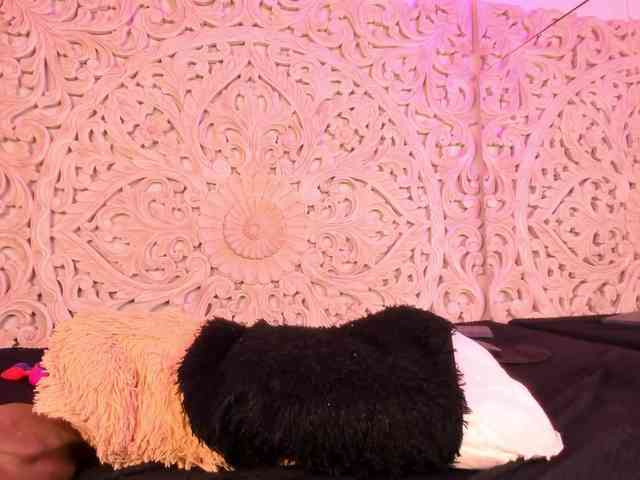 antonnella-lopez webcam