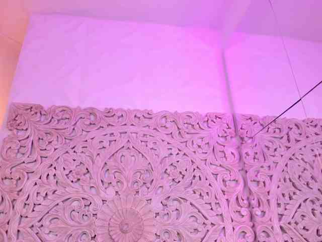 antonnella-lopez webcam