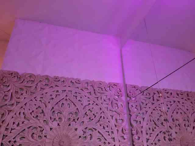 antonnella-lopez webcam