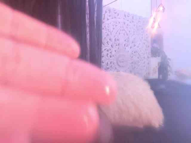 antonnella-lopez webcam