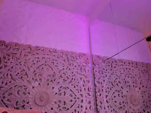 antonnella-lopez webcam
