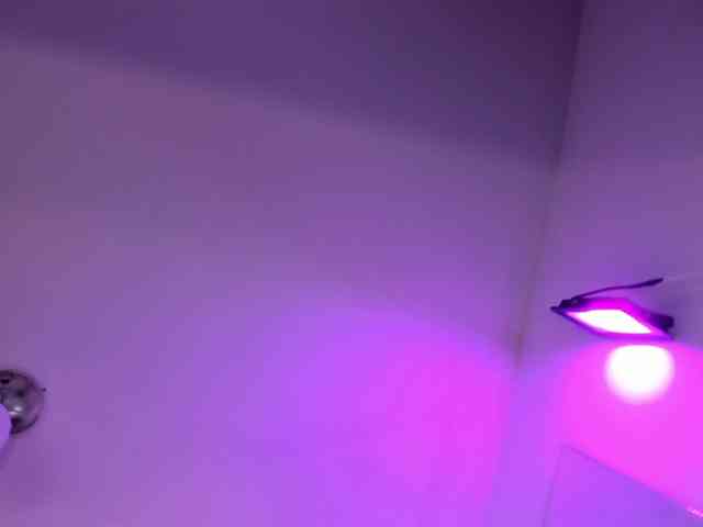 antonnella-lopez webcam