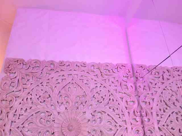 antonnella-lopez webcam