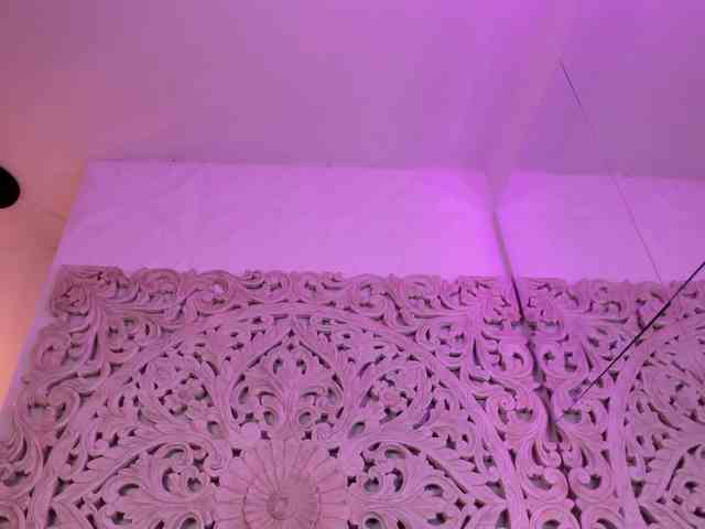 antonnella-lopez webcam