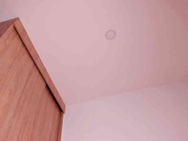 CristalHart webcam