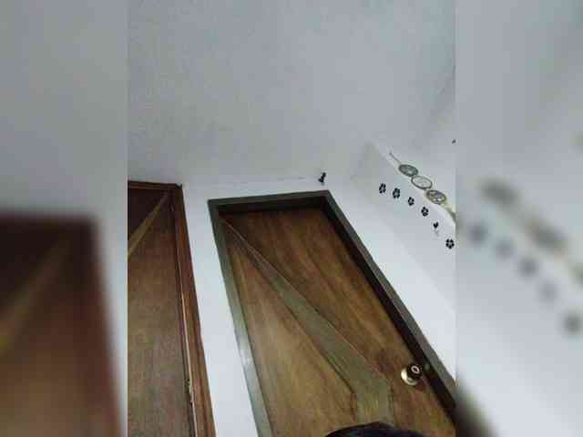 babyfive webcam