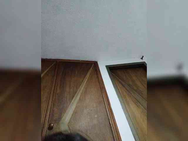 babyfive webcam