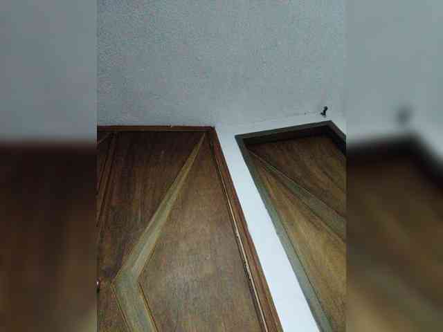 babyfive webcam