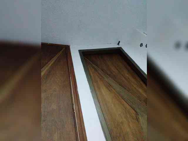 babyfive webcam