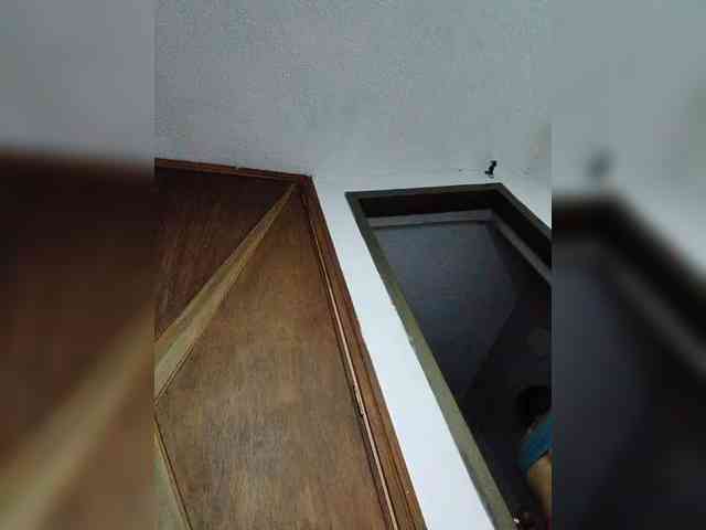 babyfive webcam