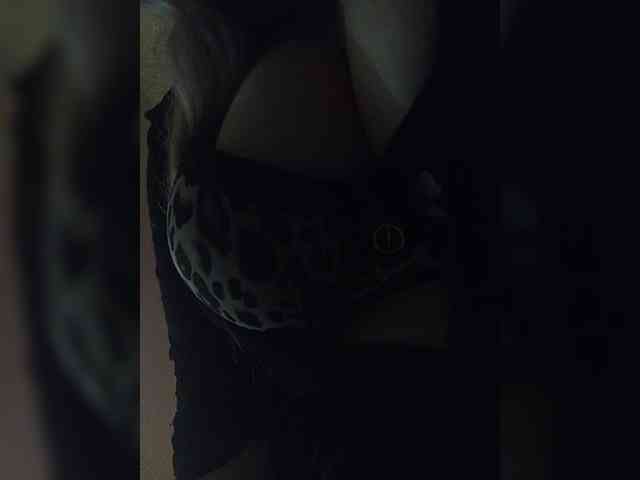 EveHugs webcam