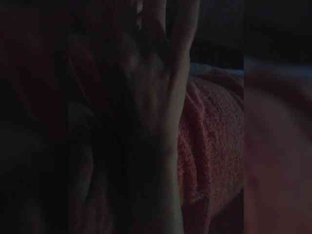 TISE webcam