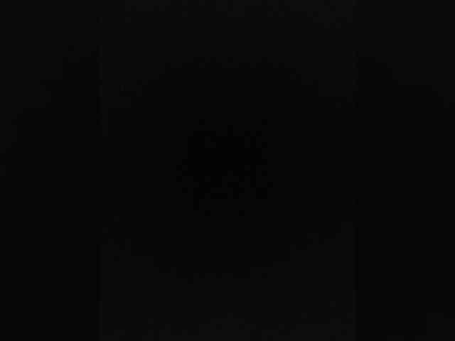 TISE webcam