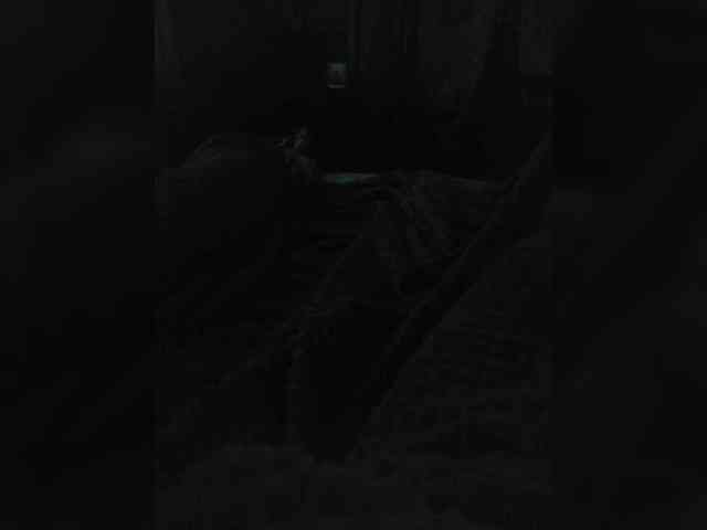 TISE webcam