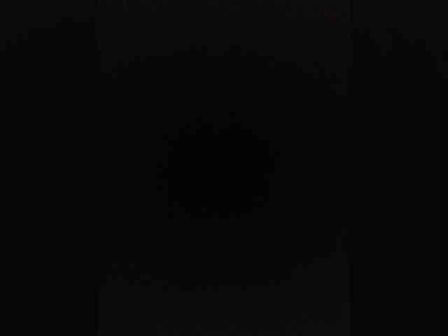 P-a-n-t-h-e-r Sex Cam Show