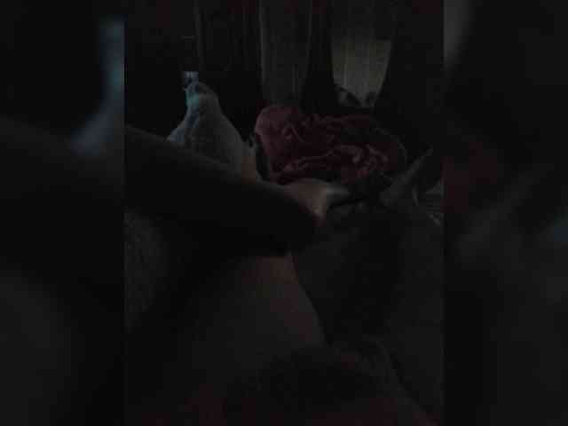 TISE