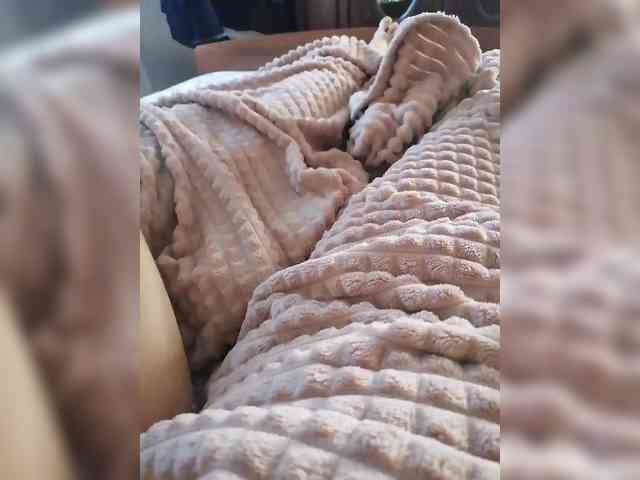 TISE webcam