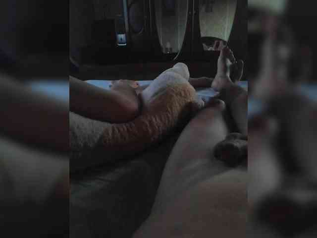 TISE webcam