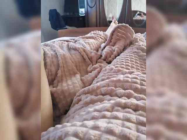 TISE webcam