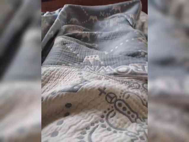 TISE webcam