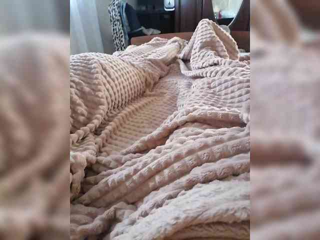 TISE webcam