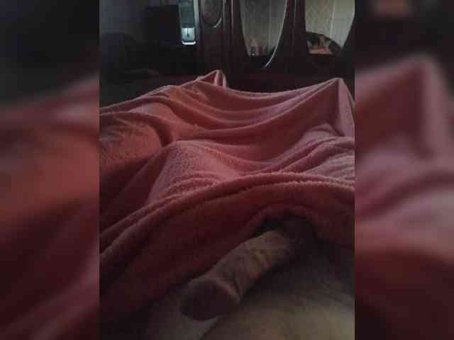 TISE