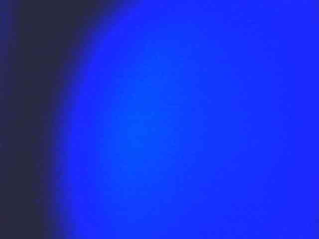 HornyNica webcam