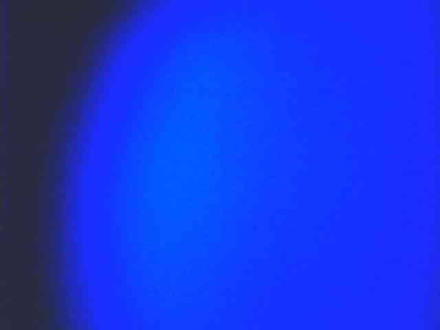 HornyNica webcam