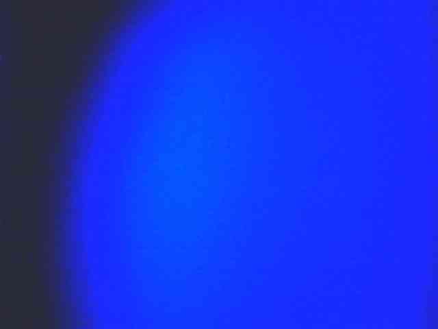 HornyNica webcam
