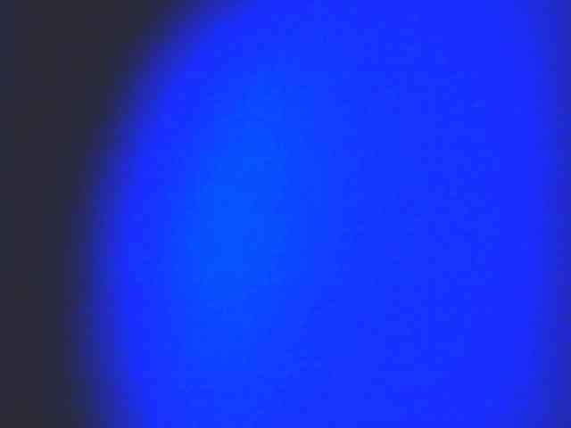 HornyNica webcam