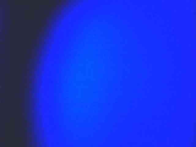 HornyNica webcam