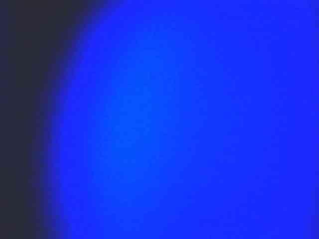 HornyNica webcam