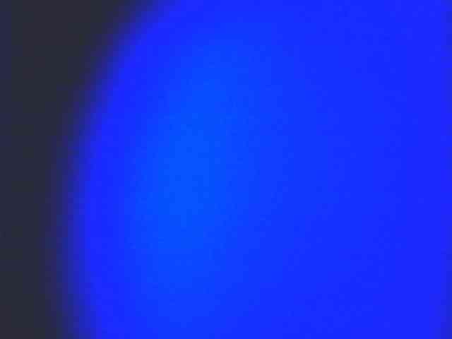 HornyNica webcam