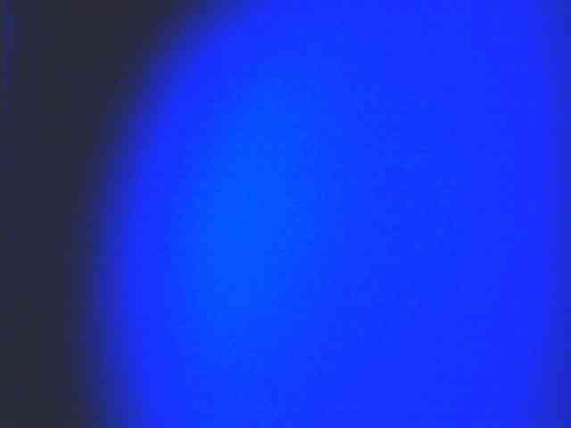 HornyNica webcam
