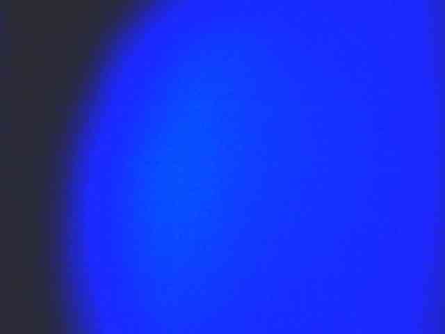 HornyNica webcam