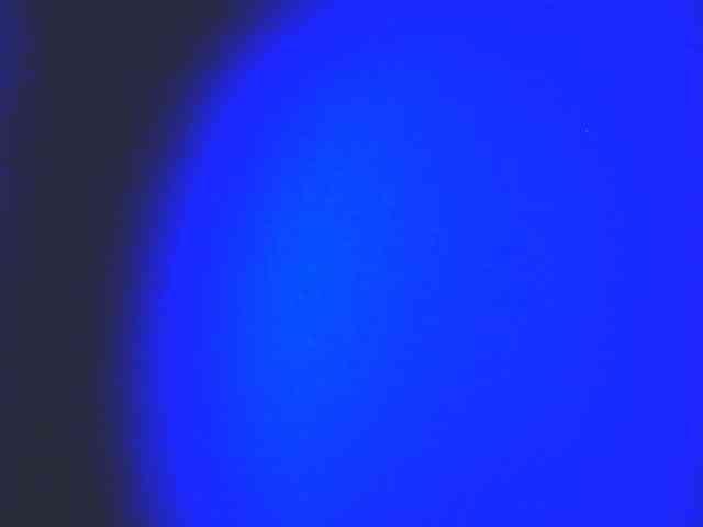 HornyNica webcam